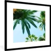 MuchoWow® Gerahmtes Poster Palmwedel - Himmel - Sommer - Produktbild-Vorschau 1
