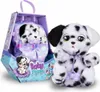 A plush toy dog and its packaging are displayed. Produktbild-Vorschau