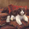 Folkmanis Handpuppe wuschelige Katze 2558 Produktbild-Vorschau 7