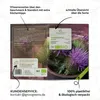Mariendistel Samen - Heilkräuter Saatgut aus biologischem Produktbild-Vorschau 5