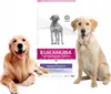 Eukanuba Veterinärdiät Hunde-Dermatose FP 12 kg Produktbild-Vorschau 5
