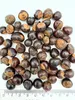 Guarana zaden, 800 g - hele zaden van Paullinia cupana uit Productafbeelding-voorbeeld 2