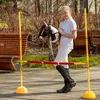 Steckenpferd Skippi. Das rotbraune Pferd an der Stange Produktbild-Vorschau 6