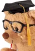 Brubaker Teddy Plüschbär mit Brille, Diplom und Doktorhut - Produktbild-Vorschau 3