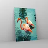 Bilder auf glas - Einteilig - Rosa Flamingos Wasser - Produktbild-Vorschau 4
