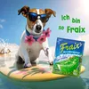 FRAIX Getränkepulver Waldmeister 50er Pack (50 x 100g) Produktbild-Vorschau 4
