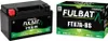 Fulbat Ftx7a-bs Gelbatterie Grün  Grün One Size Produktbild-Vorschau 2