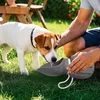 Hunde Trinkflasche 800ML Hunde Wasserflasche für Unterwegs Produktbild-Vorschau 2