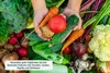 Hands holding a variety of fresh vegetables, with more vegetables in the background. Produktbild-Vorschau