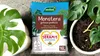 Blumenerde Monstera - 16l - mit Seramis - für gesunde Produktbild-Vorschau 2