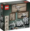 LEGO Ideas 21320 Skamieniałości dinozaurów Podgląd zdjęcia produktu 6