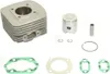 A collection of engine parts, including a cylinder, piston, pin, rings, and gaskets, laid out on a white background. Anteprima dell’immagine prodotto