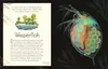 Wundervolle Welt. Wasser Anteprima dell’immagine prodotto 6