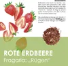Erdbeeren Samen (Fragaria) - Nährstoffreiche Erdbeer Samen Produktbild-Vorschau 3