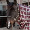 Kentucky Horsewear Outdoordecke 200g All Weather Waterproof Anteprima dell’immagine prodotto 7