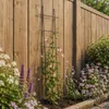 KADAX Krata Ogrodowa Do Roślin Pnących Pergola 30x150 Podgląd zdjęcia produktu 4