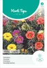 Artikelbild 2 von 'Portulakröschen Gefüllte  Mischung' aus der Kategorie Blumensamen Produktbild-Vorschau