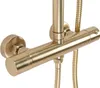 Set Doccia Con Termostato Rea Parot Brushed Gold Anteprima dell’immagine prodotto 2