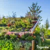 Sedum- & Gründach-Dünger - 20 kg für 400 m2 - Organifer Produktbild-Vorschau 8