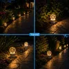 Topool CT705W Plávajúca solárna lampa s dávkovačom chlóru – Náhľad obrázku produktu 8