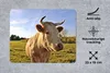 MuchoWow® Mauspad Mousepad Kuh - Bauernhof - Natur 23x19 cm Produktbild-Vorschau 3