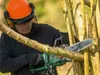 Bosch Tronçonneuse sans fil PKE18V-30-28 - BOSCH - sans Voir les images du produit 3