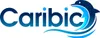 Edelstahl Poolleiter CARIBIC XXL Hochbeckenleiter Leiter Produktbild-Vorschau 7