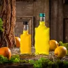 Two glass bottles filled with yellow liquid, surrounded by lemons, moss, and a wooden background. Produktbild-Vorschau