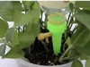 A plant watering device is inserted into the soil of a potted plant, with water dripping from the device. Anteprima dell’immagine prodotto