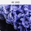 A close-up of purple flowers with water droplets, with a grid overlay and text indicating '4K UHD'. Produktbild-Vorschau