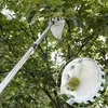 4,2M Teleskop Obstpflücker Edelstahl Apfel Kirschen Produktbild-Vorschau 6