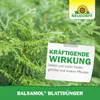 Neudorff Balsamol Blattdünger - Zur Düngung und sofortigen Produktbild-Vorschau 5