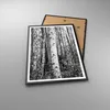 Gerahmtes Poster - Schwarzer Rahmen - Birken Wald Monochrom Produktbild-Vorschau 3