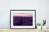 MuchoWow® Gerahmtes Poster Lavendel - Lila - Blumen - Natur Produktbild-Vorschau 6