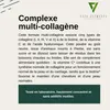 Vita Elements Poudre de Multicollagène 454g Articulations Voir les images du produit 2