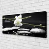 Tulup Leinwand-Bilder 125x50 Wandbild Canvas Kunstdruck Produktbild-Vorschau 2