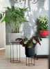 b.for studio Schale 30cm  living beton Produktbild-Vorschau 7