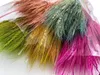 Trockenblumen, Persischer Weizen, Müslistrauß, Boho-Stil Produktbild-Vorschau 2