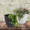 Two plant pots with plants on a wooden surface, with a leafy background. Produktbild-Vorschau