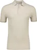Lacoste Polo Beige Chiné Manches Courtes Coupe Normale Voir les images du produit 1