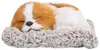 Simulazione di cucciolo di cane addormentato - Ornamento - Anteprima dell’immagine prodotto 1