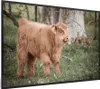 MuchoWow® MuchoWow® Gerahmtes Poster Schottisches Produktbild-Vorschau 8