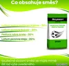 Sportovní trávník - Semena trávy Odolná vůči suchu - Semena Náhled obrázku produktu 3