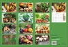Korsch Kalender 2027: Rezeptkalender für die Küche mit Produktbild-Vorschau 7