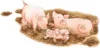 Ravensburger 6332 Puzzle Na wielkiej farmie 30-48 elementw Podgląd zdjęcia produktu 7