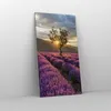 Bild auf Leinwand - Leinwandbild - Lavendel Berge Feld - Produktbild-Vorschau 4