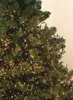 Zurbrüggen LED-Cluster Lichterkette 27m mit 3000 LED`s Produktbild-Vorschau 12