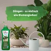 Blusana Bims und Lava Flüssigdünger 1 Liter NPK 10-4-6 Produktbild-Vorschau 3