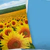 Duvet cover Good Morning 135x200 + 1* 80x80 cm - sunflowers Produktbild-Vorschau 7