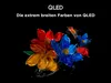 TCL 43T6C QLED Fernseher 43 Zoll Fire TV 4K UHD Smart TV Produktbild-Vorschau 6
